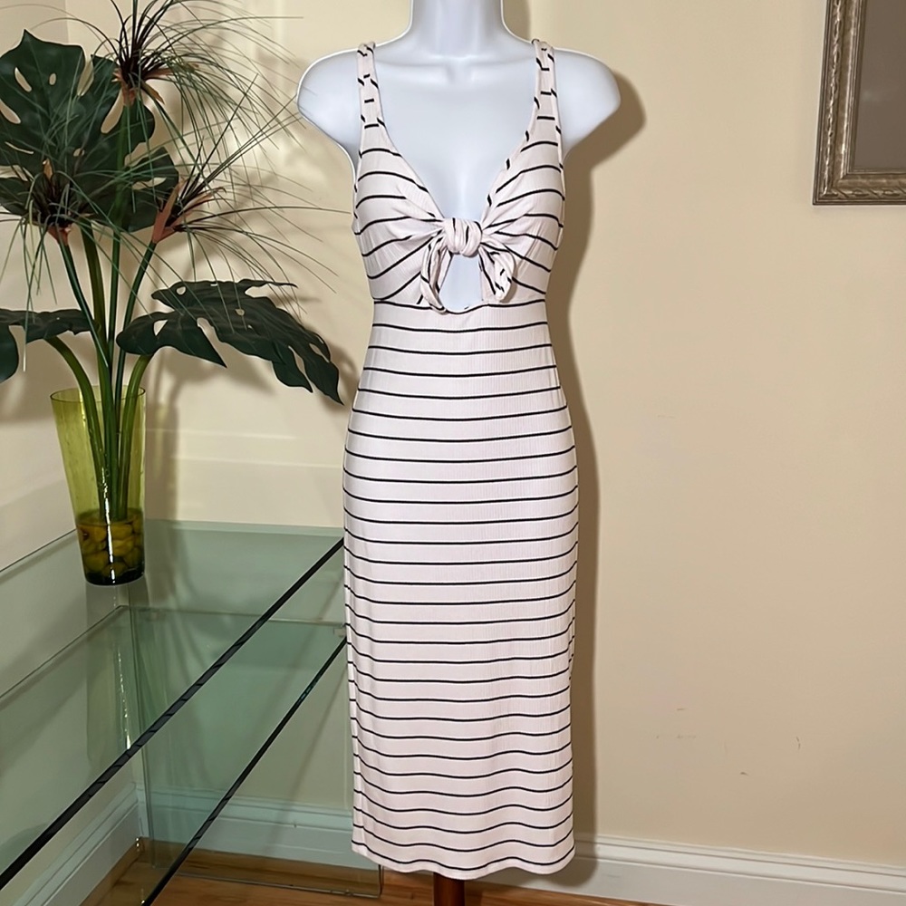 Express Knit Dress